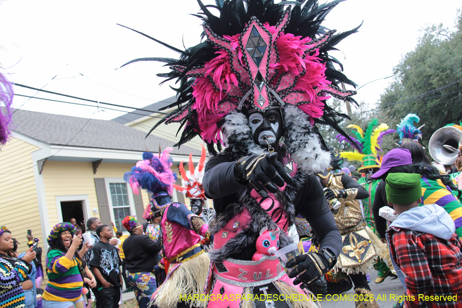 Zulu-SAPC-2026-10965