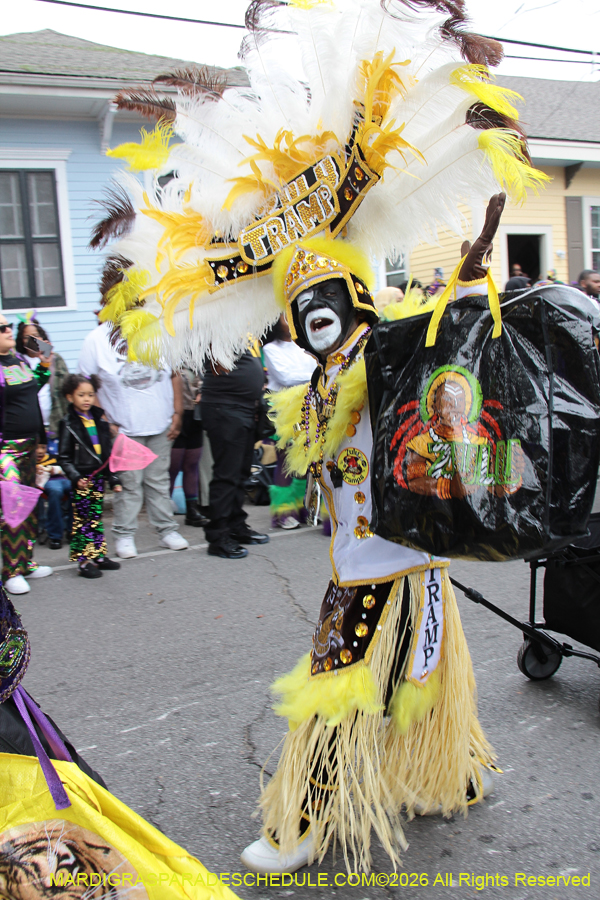 Zulu-SAPC-2026-10971