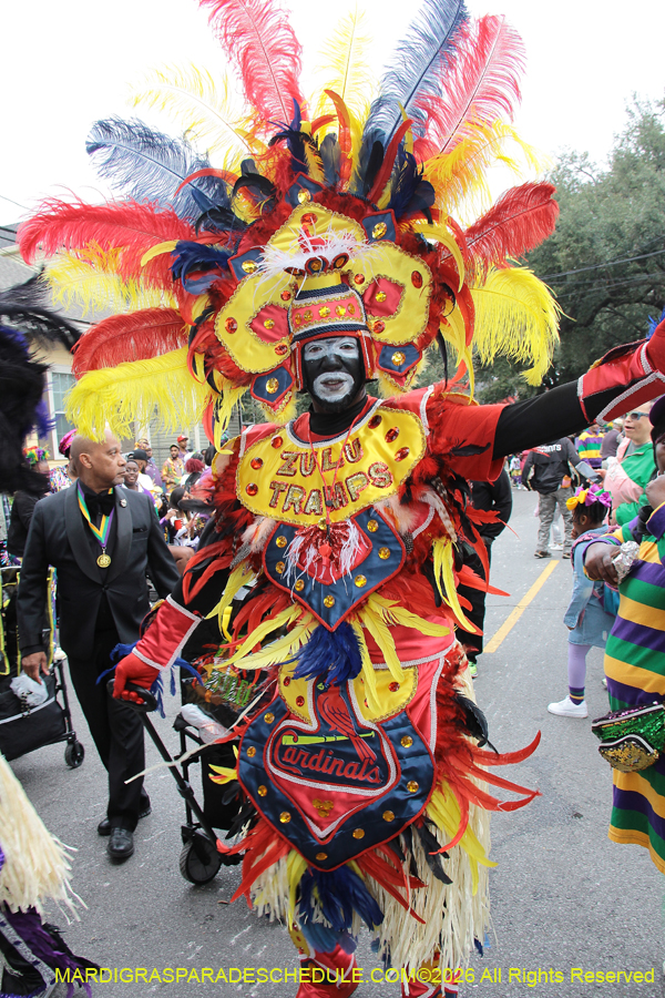 Zulu-SAPC-2026-10973