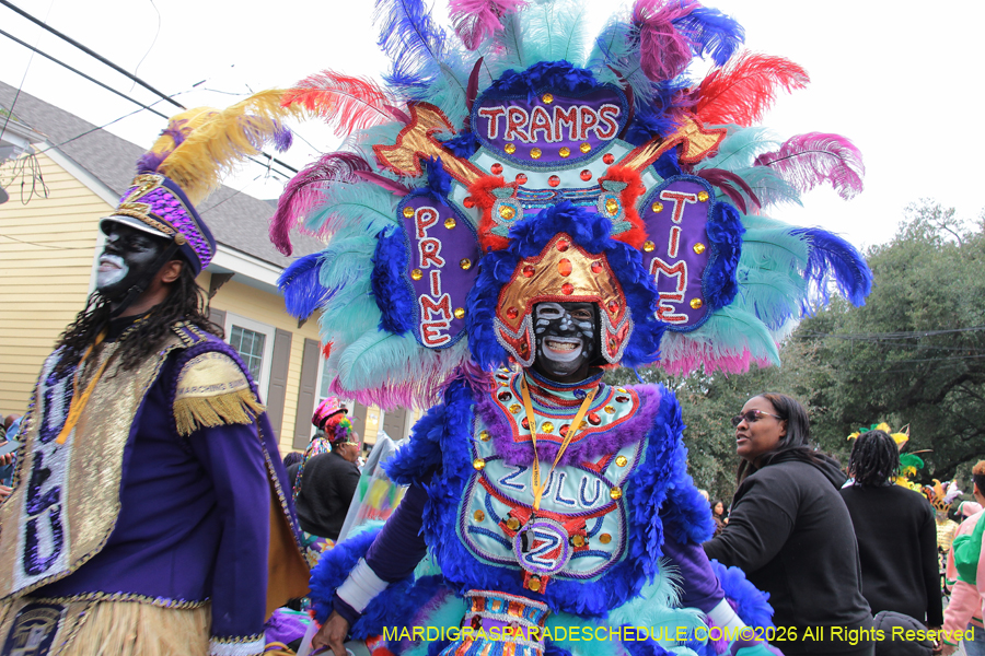 Zulu-SAPC-2026-10974