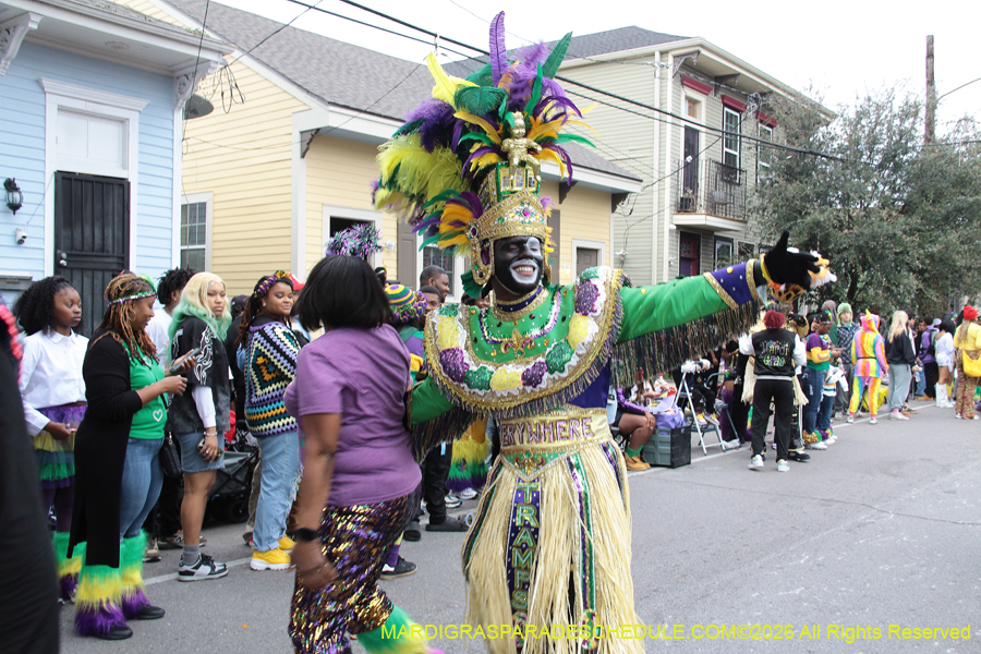 Zulu-SAPC-2026-10977