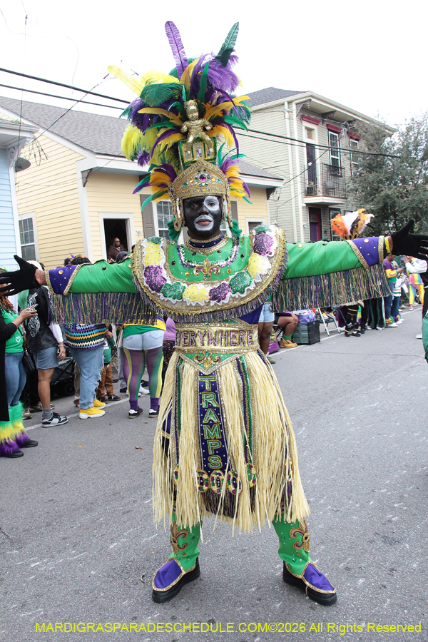 Zulu-SAPC-2026-10978