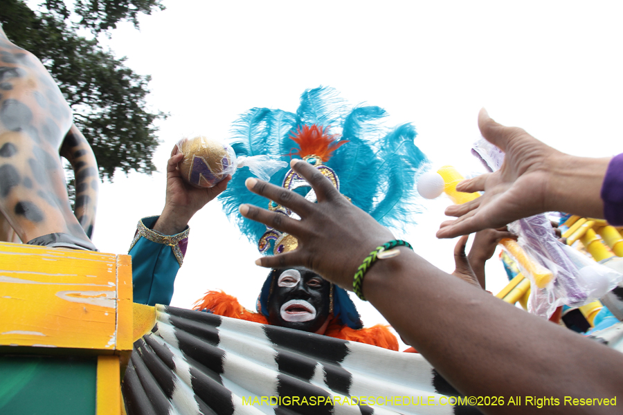 Zulu-SAPC-2026-10987