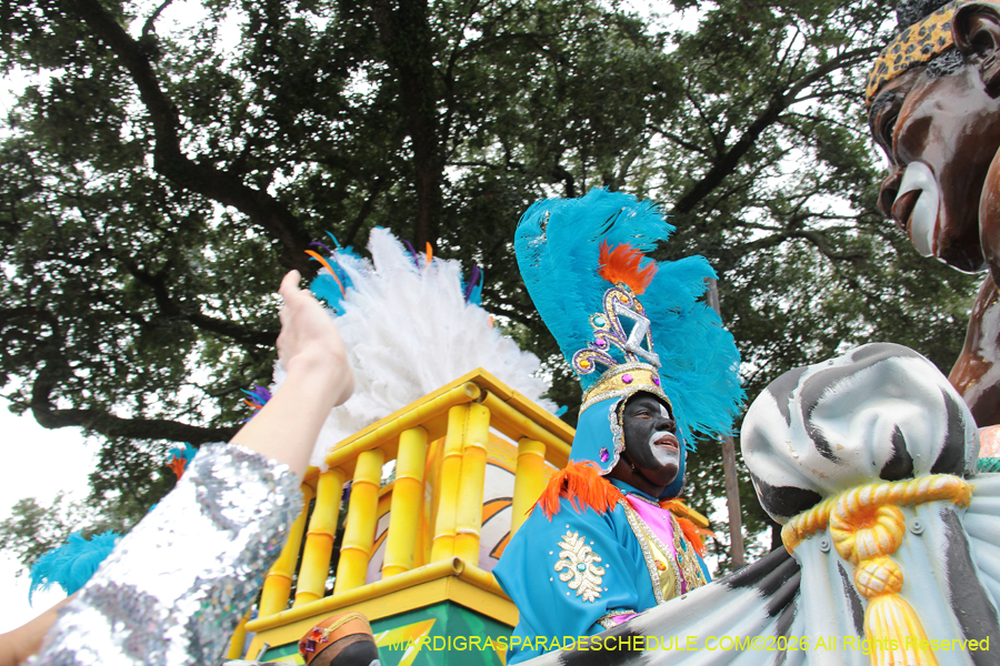 Zulu-SAPC-2026-10990