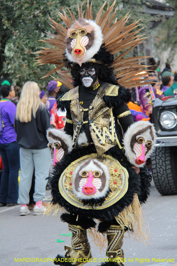 Zulu-SAPC-2026-11027