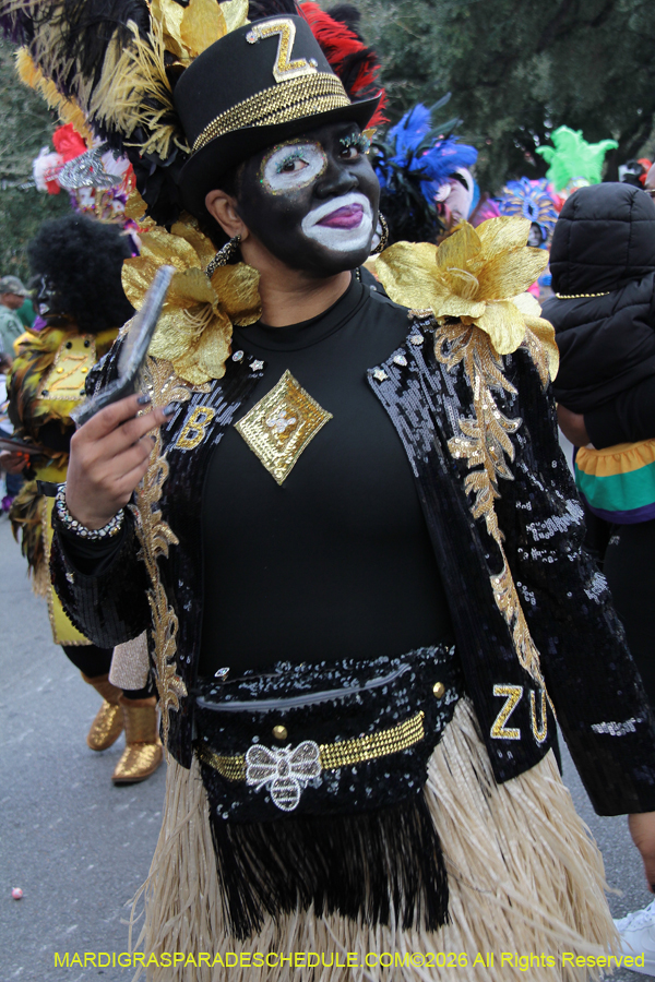 Zulu-SAPC-2026-11029