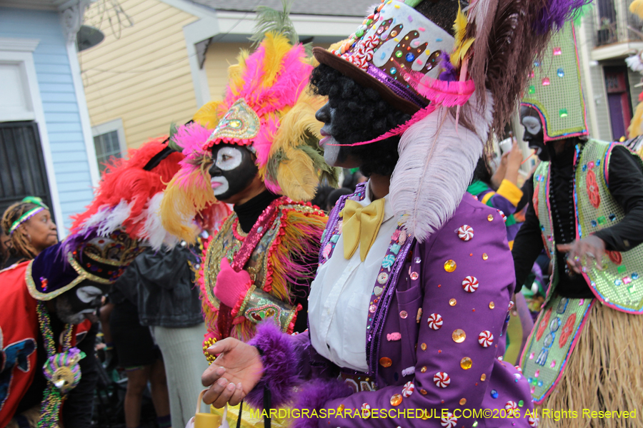 Zulu-SAPC-2026-11033