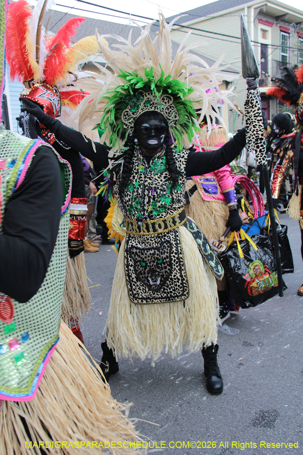 Zulu-SAPC-2026-11035