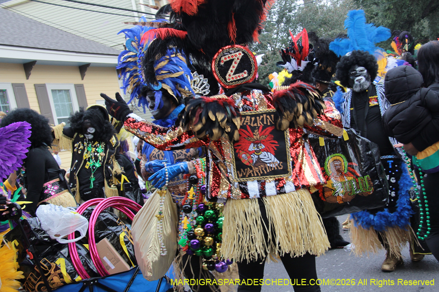 Zulu-SAPC-2026-11036