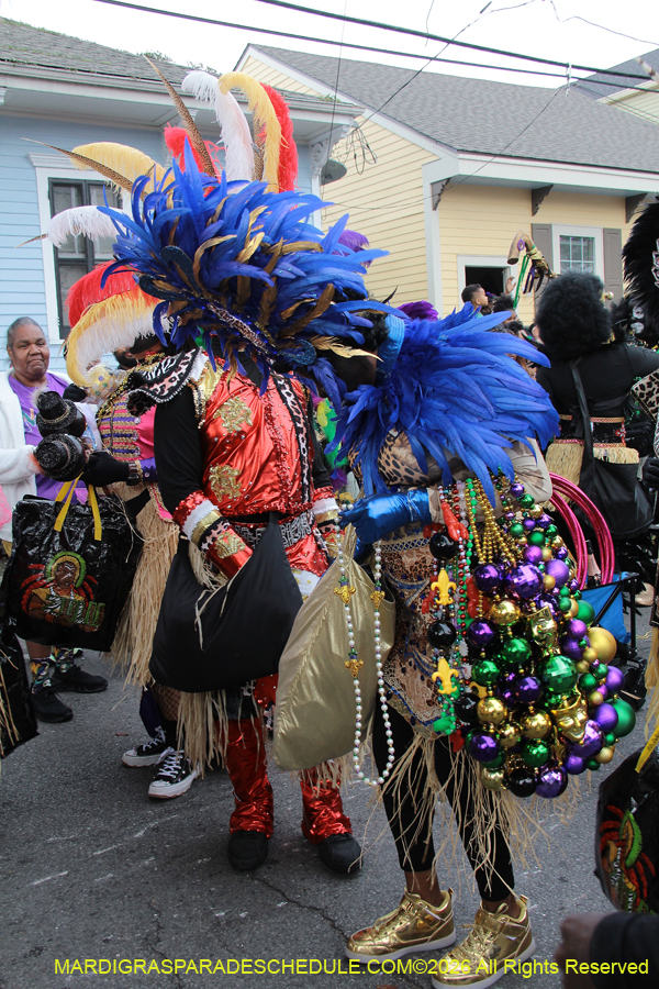 Zulu-SAPC-2026-11037