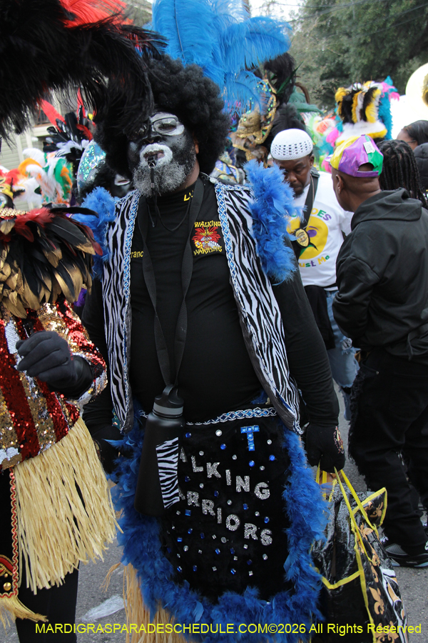 Zulu-SAPC-2026-11039