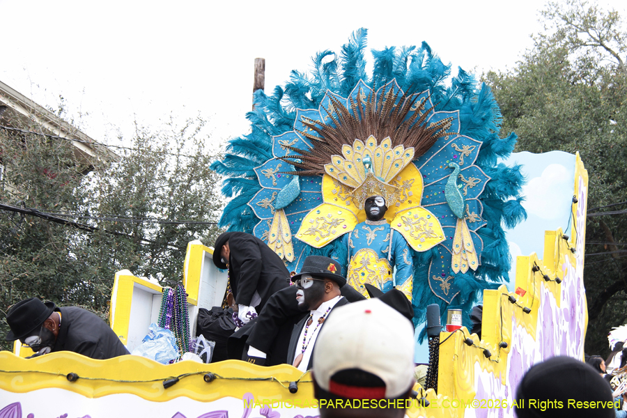 Zulu-SAPC-2026-11081