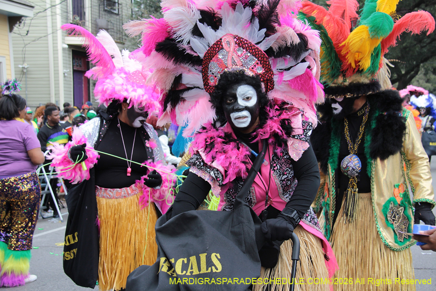 Zulu-SAPC-2026-11149