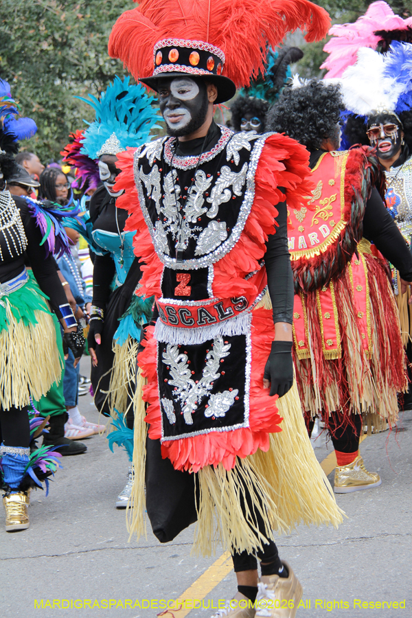 Zulu-SAPC-2026-11151