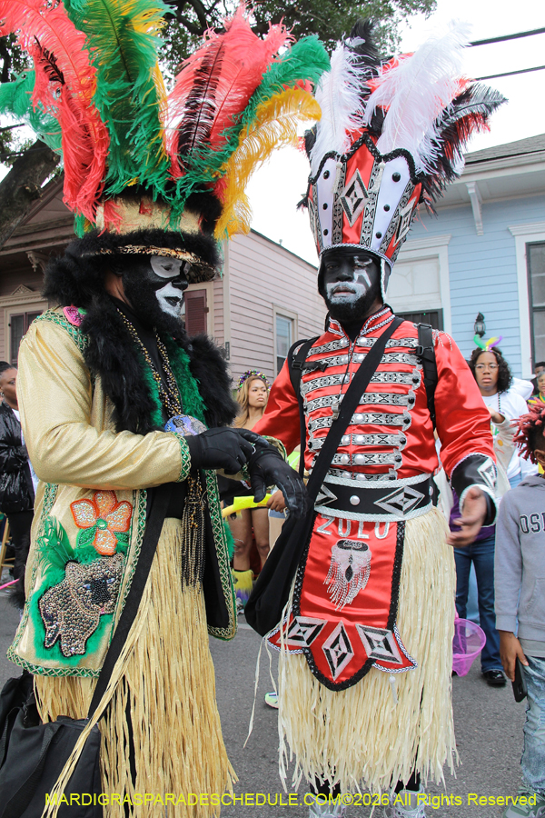 Zulu-SAPC-2026-11153