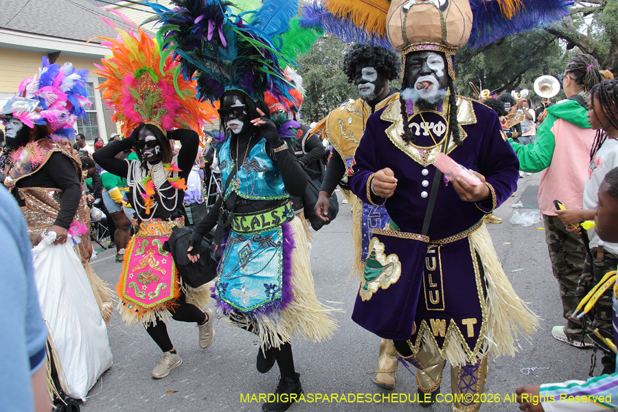 Zulu-SAPC-2026-11163