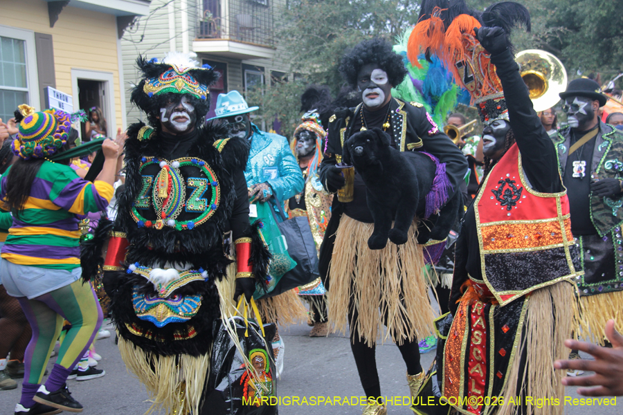 Zulu-SAPC-2026-11164