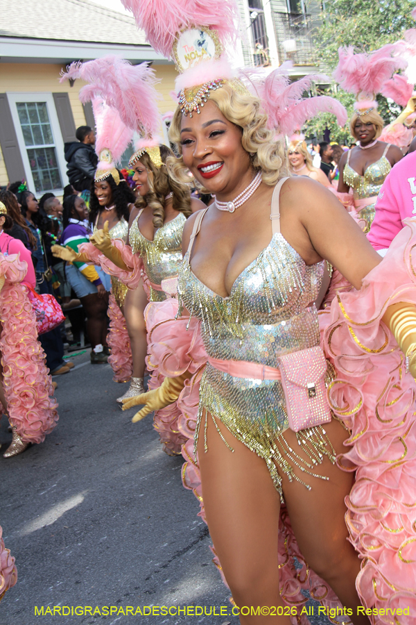 Zulu-SAPC-2026-11251