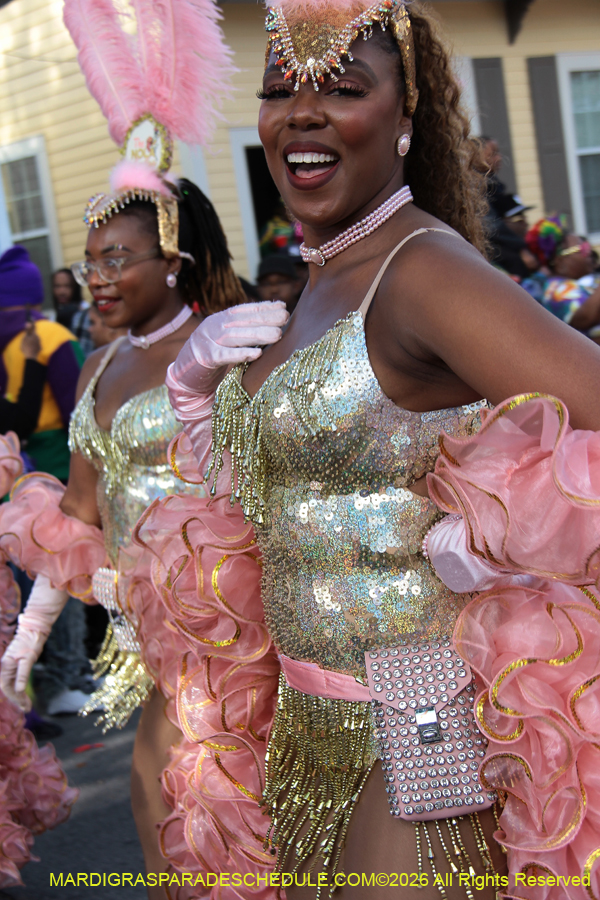 Zulu-SAPC-2026-11254