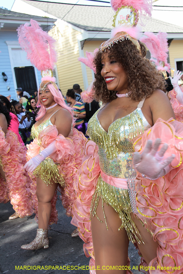 Zulu-SAPC-2026-11255