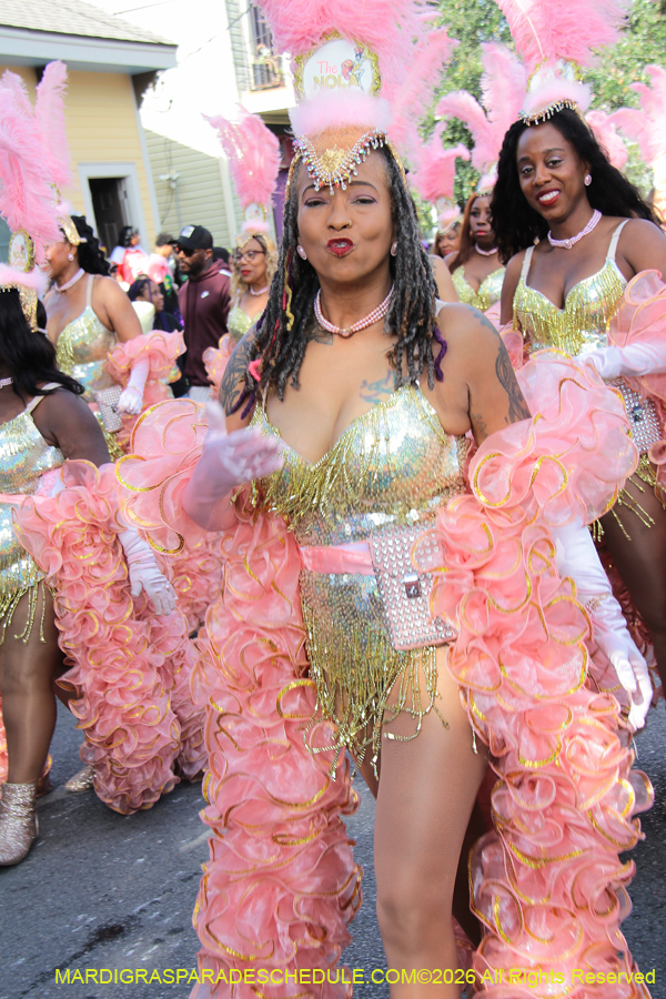 Zulu-SAPC-2026-11256