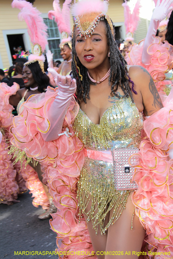 Zulu-SAPC-2026-11257