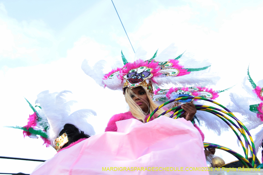 Zulu-SAPC-2026-11284