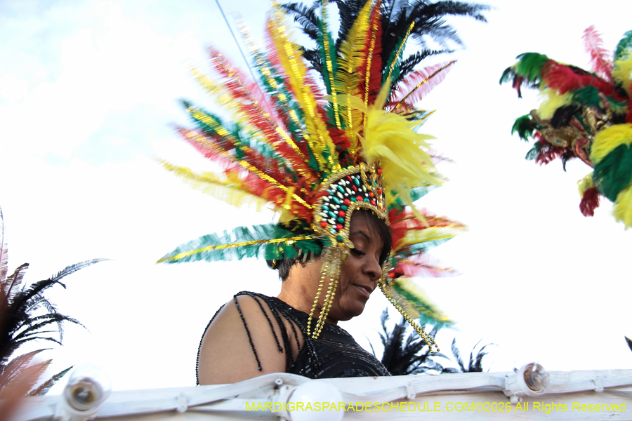 Zulu-SAPC-2026-11290