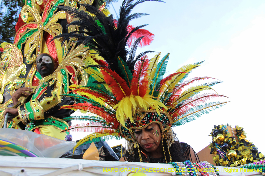 Zulu-SAPC-2026-11292