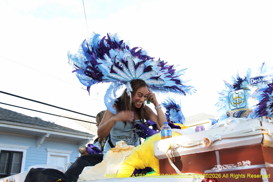 Zulu-SAPC-2026-11293