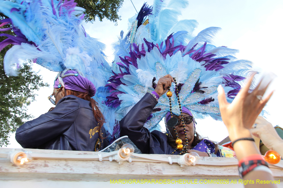 Zulu-SAPC-2026-11295