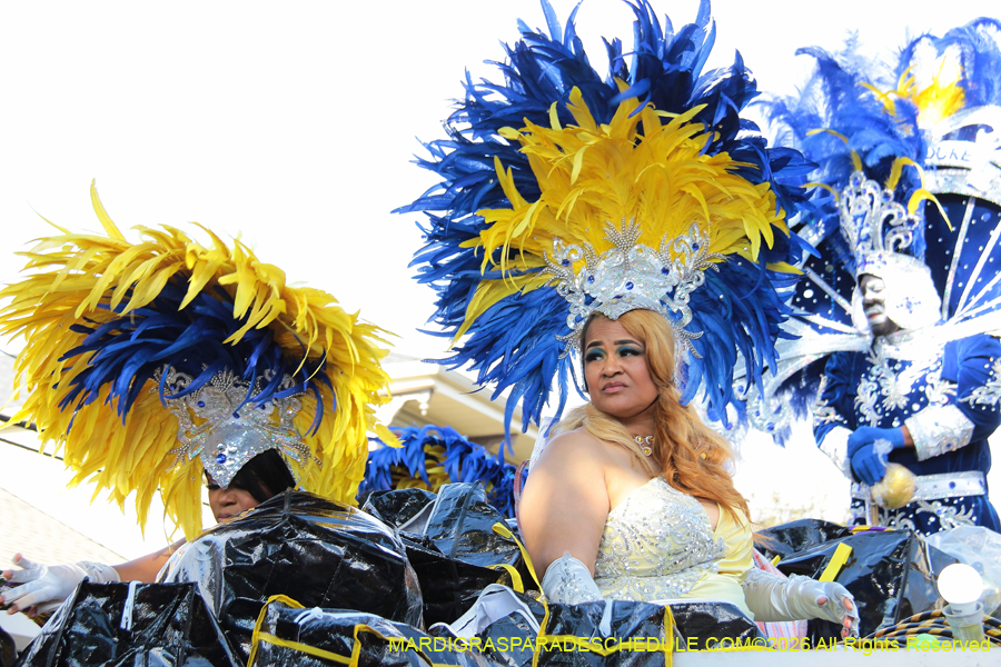 Zulu-SAPC-2026-11297