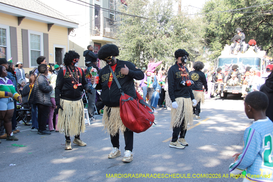 Zulu-SAPC-2026-11313