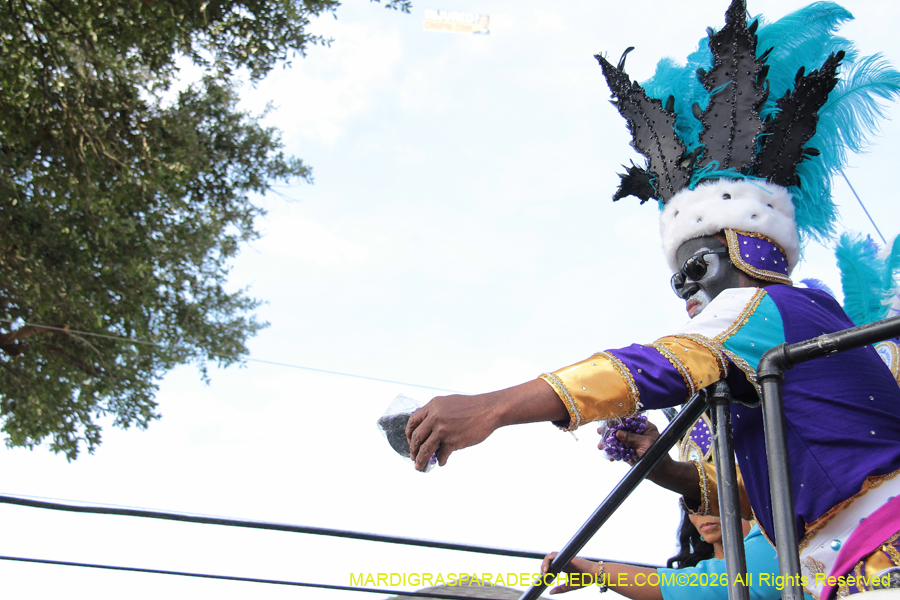 Zulu-SAPC-2026-11387