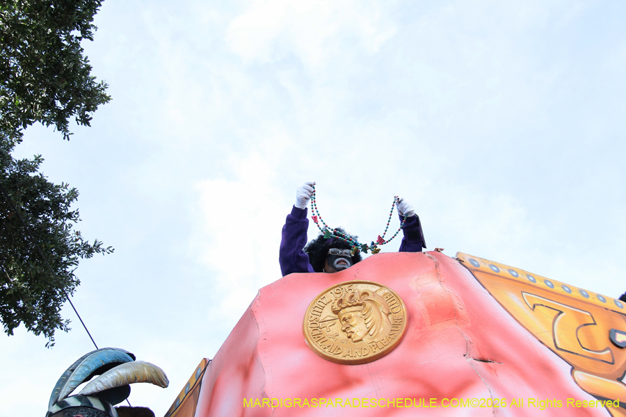 Zulu-SAPC-2026-11388