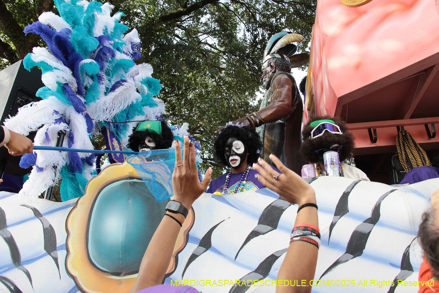 Zulu-SAPC-2026-11389