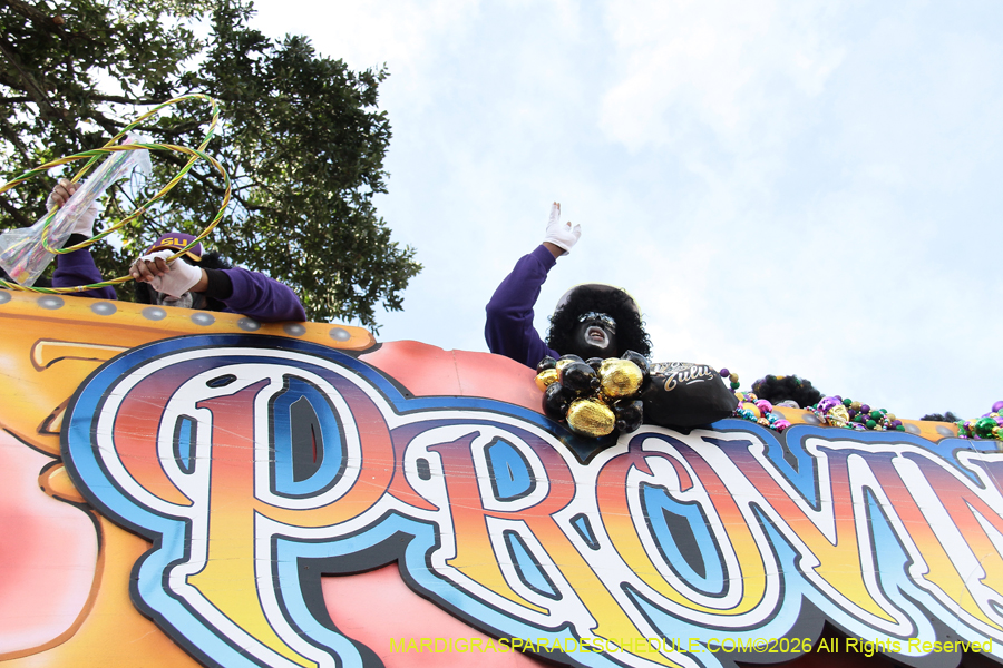 Zulu-SAPC-2026-11391