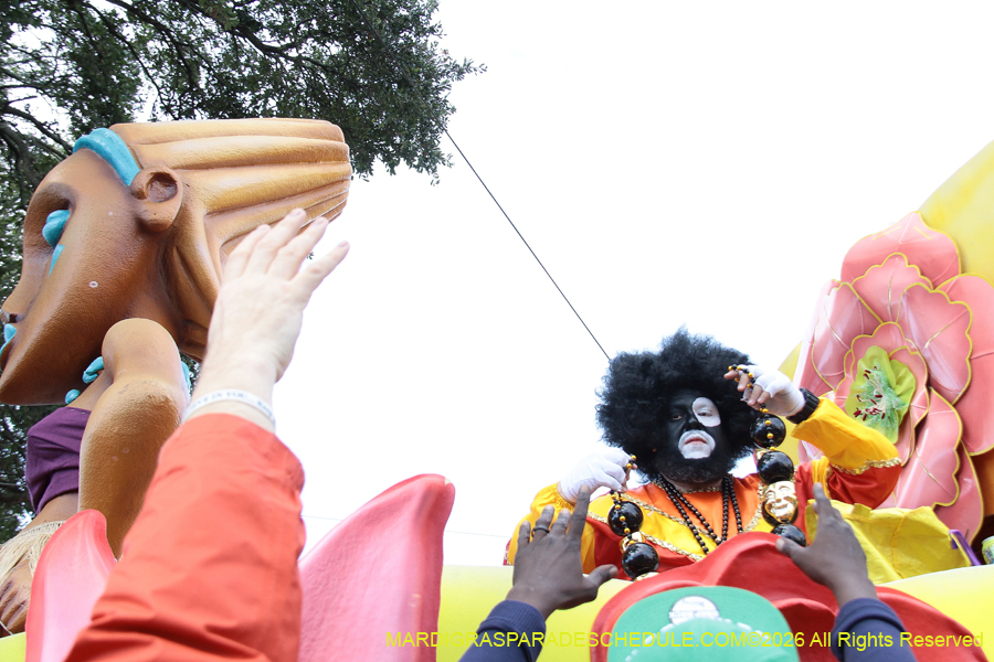 Zulu-SAPC-2026-11471