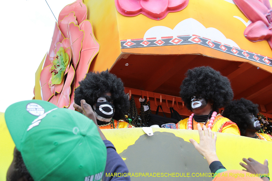 Zulu-SAPC-2026-11473