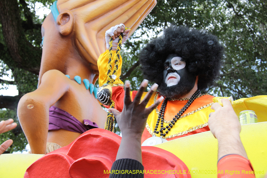 Zulu-SAPC-2026-11476