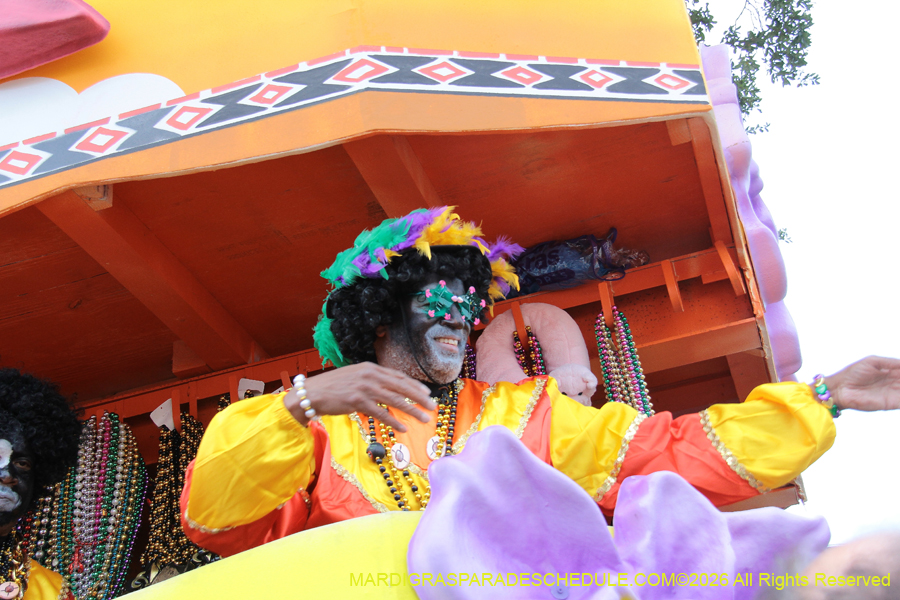 Zulu-SAPC-2026-11482