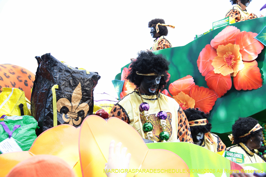 Zulu-SAPC-2026-11486