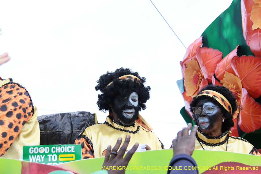 Zulu-SAPC-2026-11488