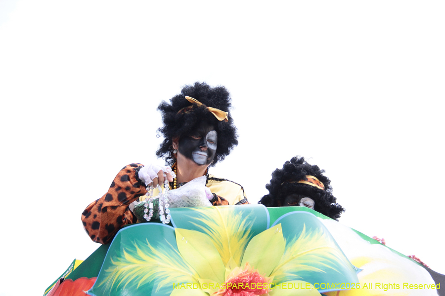 Zulu-SAPC-2026-11490