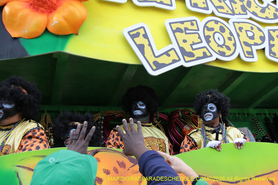 Zulu-SAPC-2026-11494