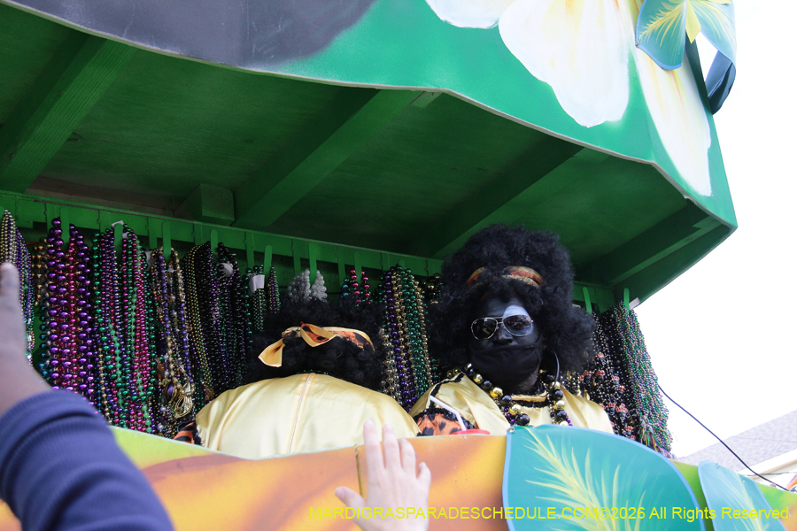 Zulu-SAPC-2026-11495