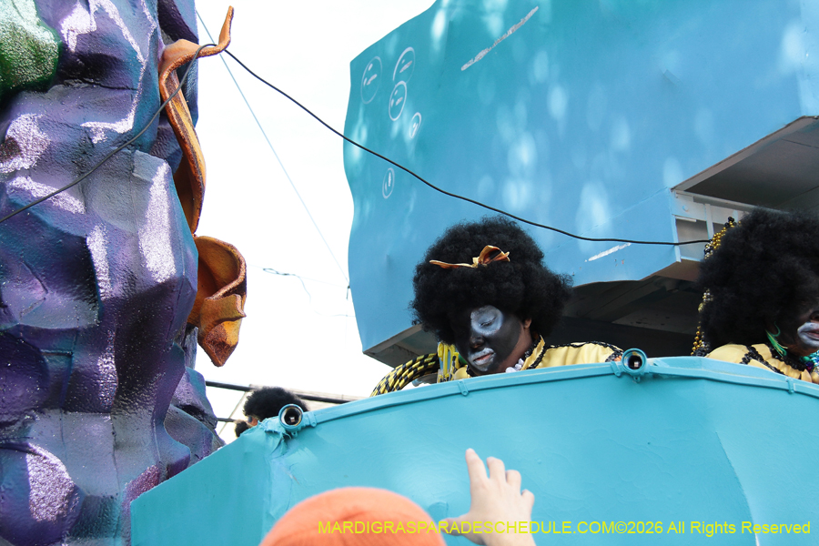 Zulu-SAPC-2026-11498