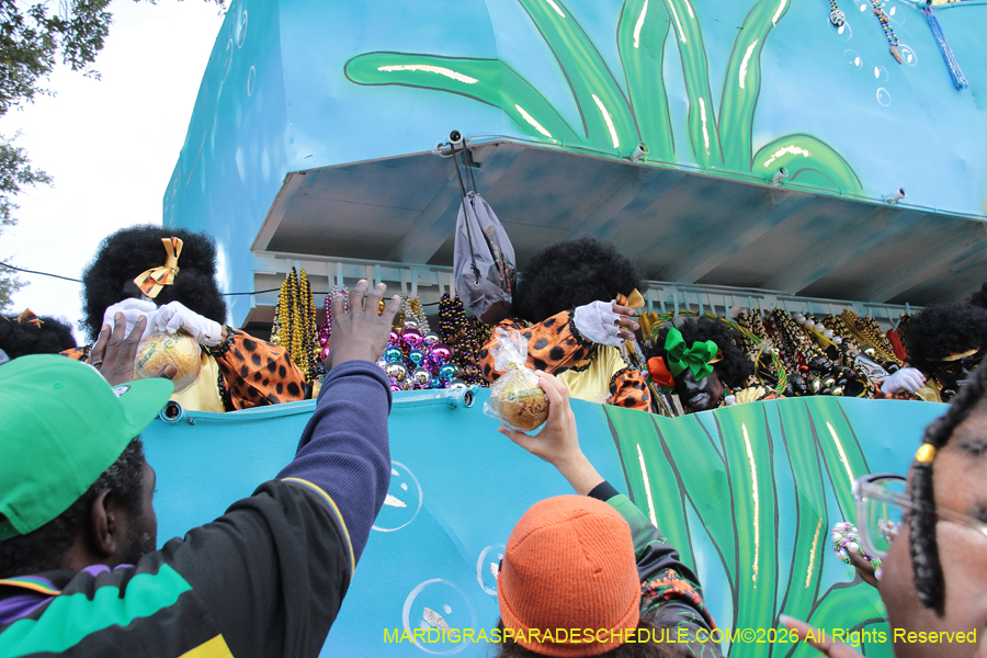 Zulu-SAPC-2026-11499