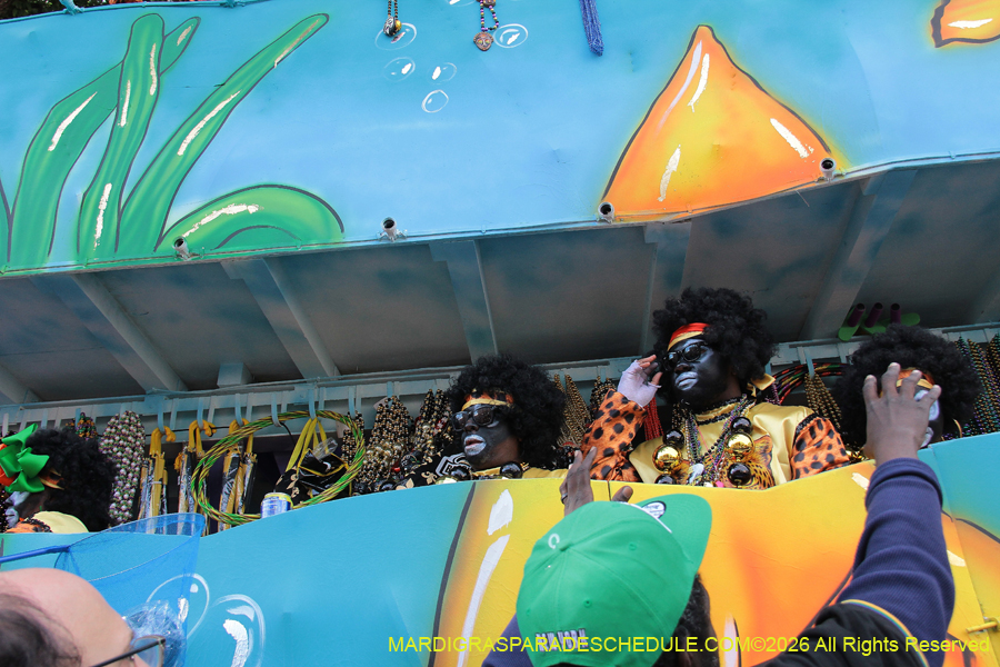 Zulu-SAPC-2026-11501