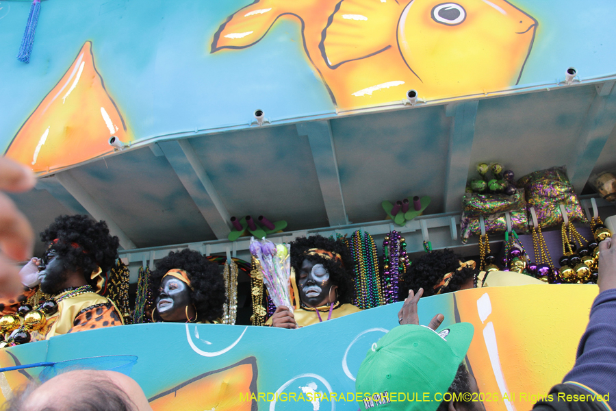 Zulu-SAPC-2026-11502